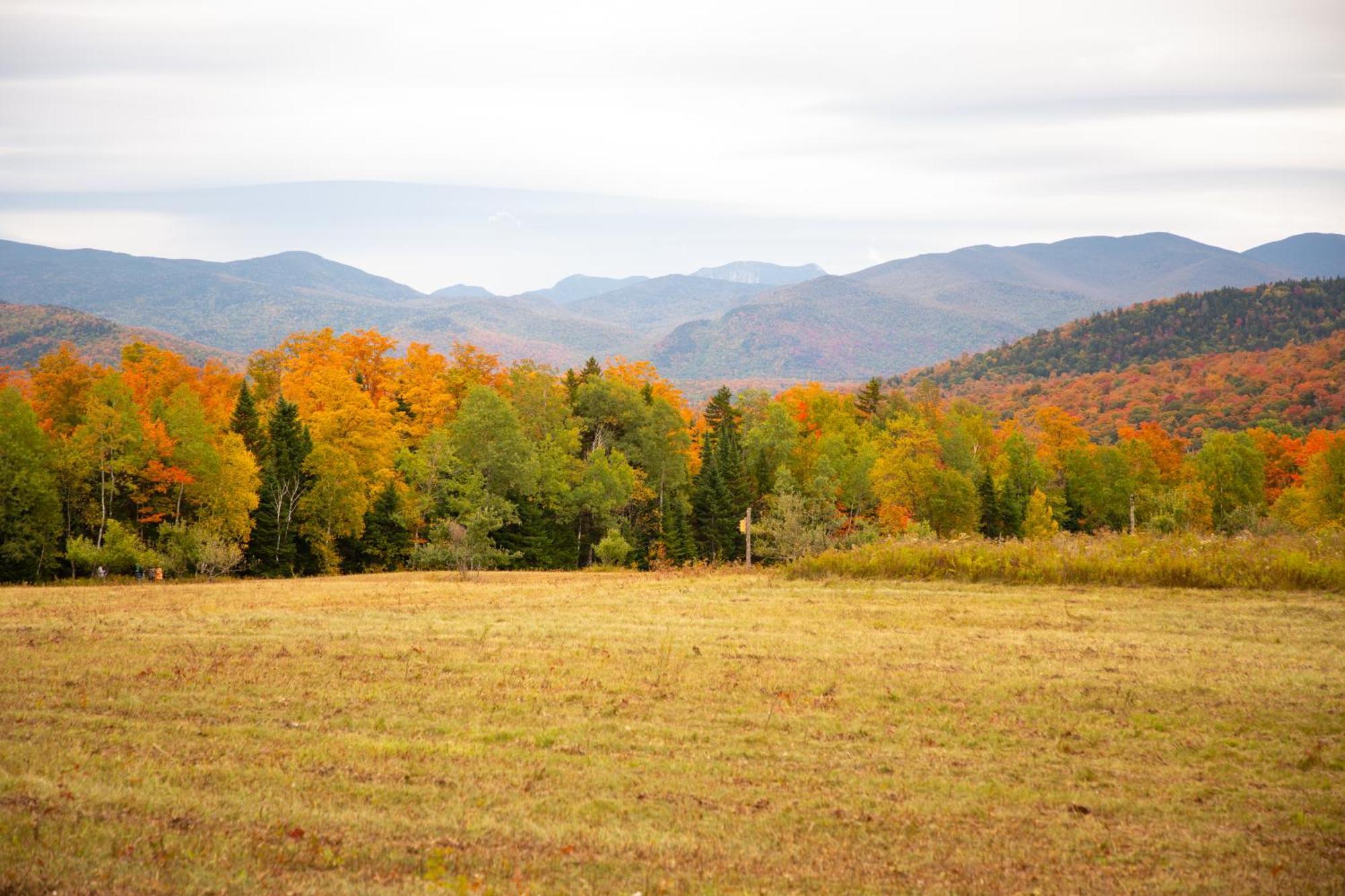 Lake Placid Inn: Main Street Екстер'єр фото